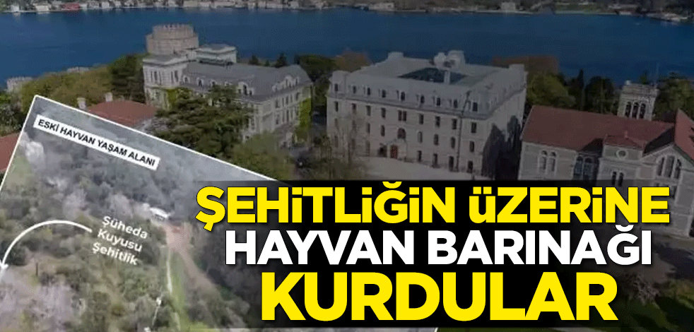 İstanbul'da kepazelik! Şehitliğin üzerine hayvan barınağı kurdular