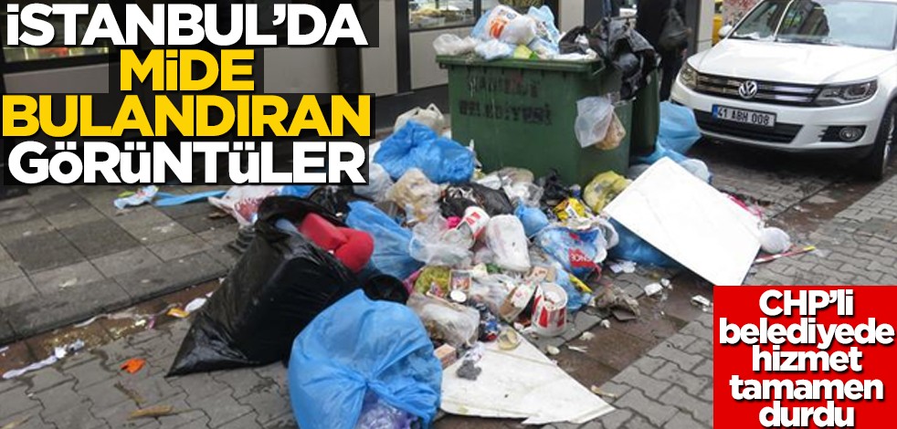 İstanbul'da mide bulandıran görüntüler! CHP'li belediyede hizmet tamamen durdu