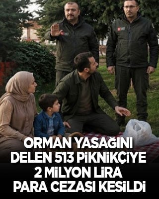 İstanbul’da orman yasağını delen 513 piknikçiye 2 milyon lira para cezası kesildi