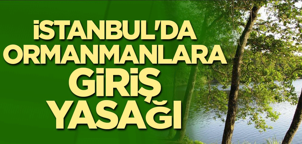 İstanbul'da ormanlara giriş yasağı