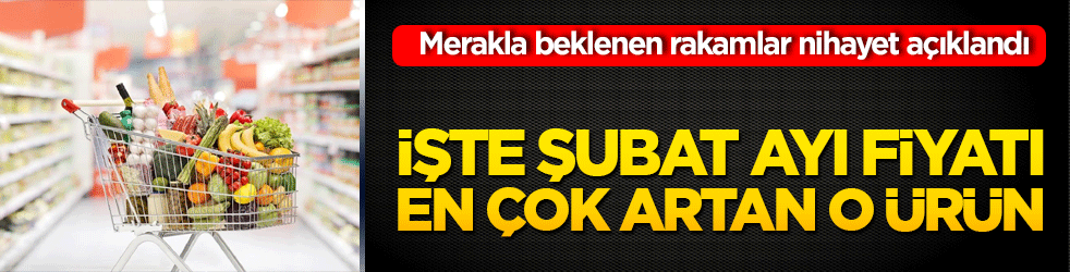 İstanbul'da Şubat ayı zam fırtınasıyla geçti! Milyonların merakla beklediği o rakamlar nihayet açıklandı