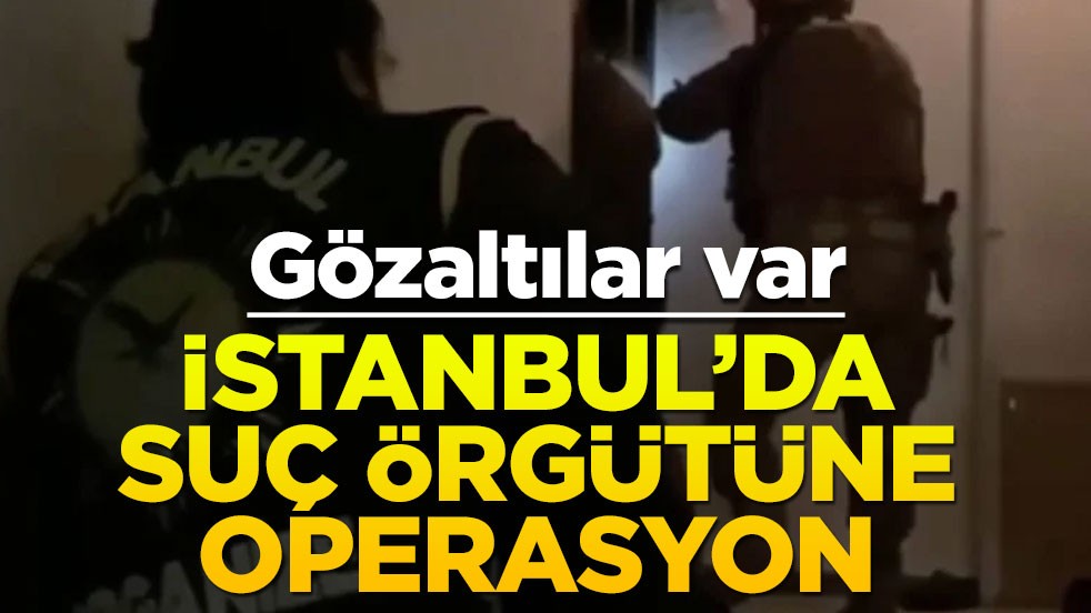 İstanbul'da suç örgütüne operasyon: Gözaltılar var
