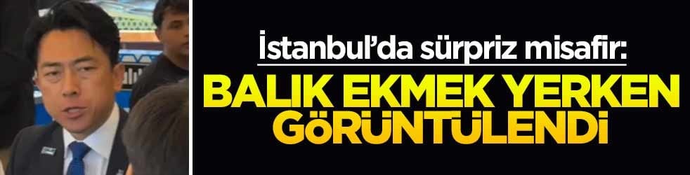 İstanbul'da sürpriz misafir: Balık ekmek yerken görüntülendi