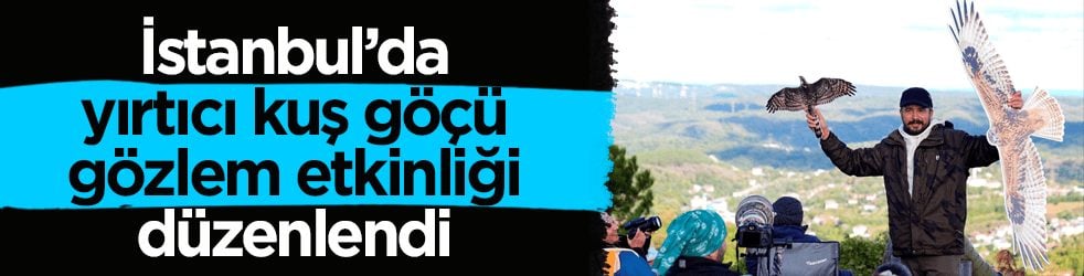 İstanbul’da yırtıcı kuş göçü gözlem etkinliği düzenlendi