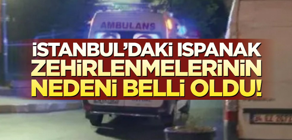 İstanbul'daki ıspanak zehirlenmelerinin nedeni belli oldu!