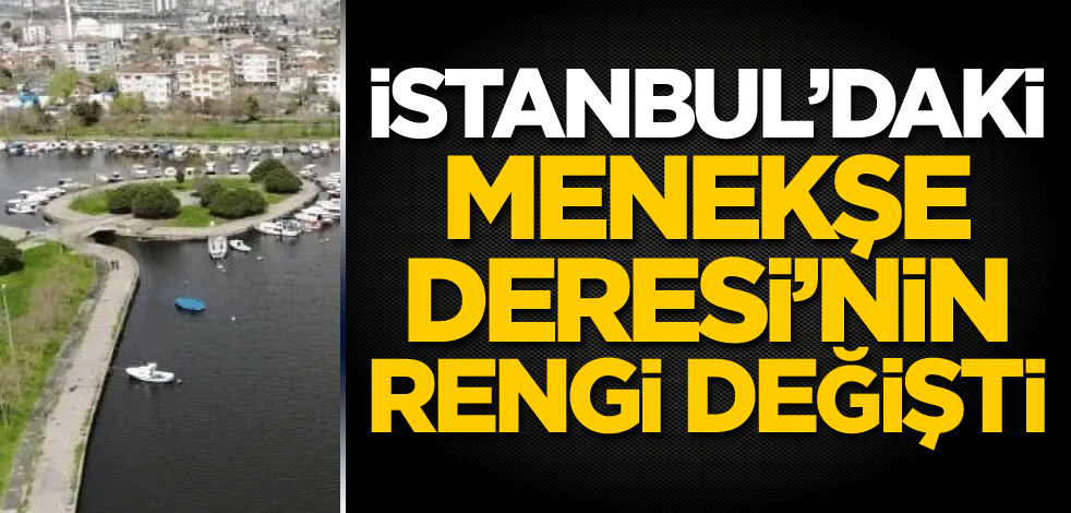 İstanbul'daki Menekşe Deresi'nin rengi değişti