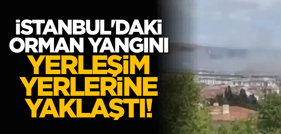 İstanbul'daki orman yangını yerleşim yerlerine yaklaştı!