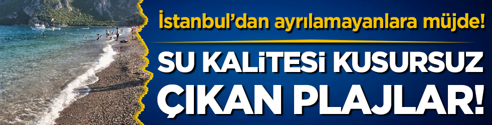 İstanbul'dan çıkamayanlar dikkat: Su kalitesi kusursuz çıkan plajlar belli oldu!