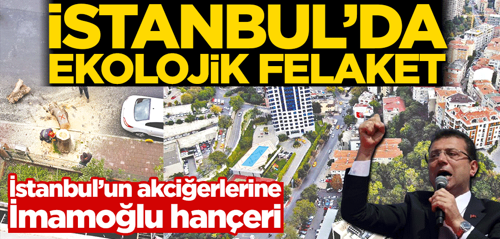 İstanbul’un akciğerlerine İmamoğlu hançeri! İstanbul’da ekolojik felaket