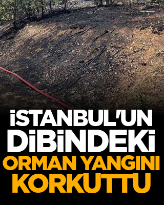 İstanbul'un dibindeki orman yangını korkuttu