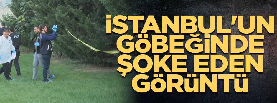 İstanbul'un göbeğinde şoke eden görüntü