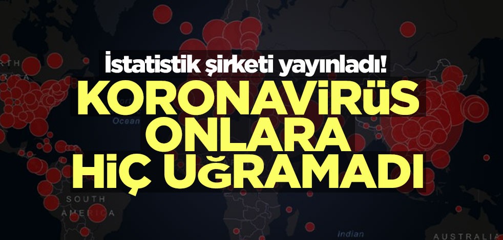 İstatistik şirketi yayınladı! Koronavirüs onlara hiç uğramadı