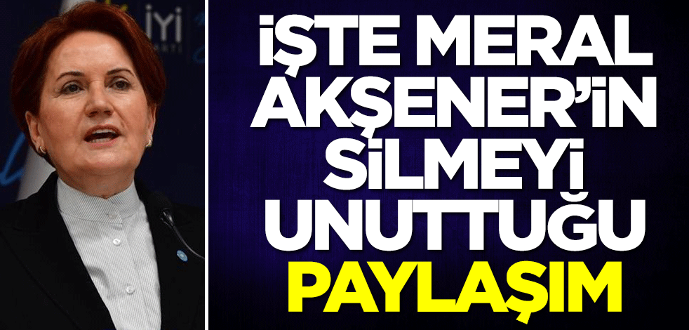 İşte Akşener'in silmeyi unuttuğu paylaşım!