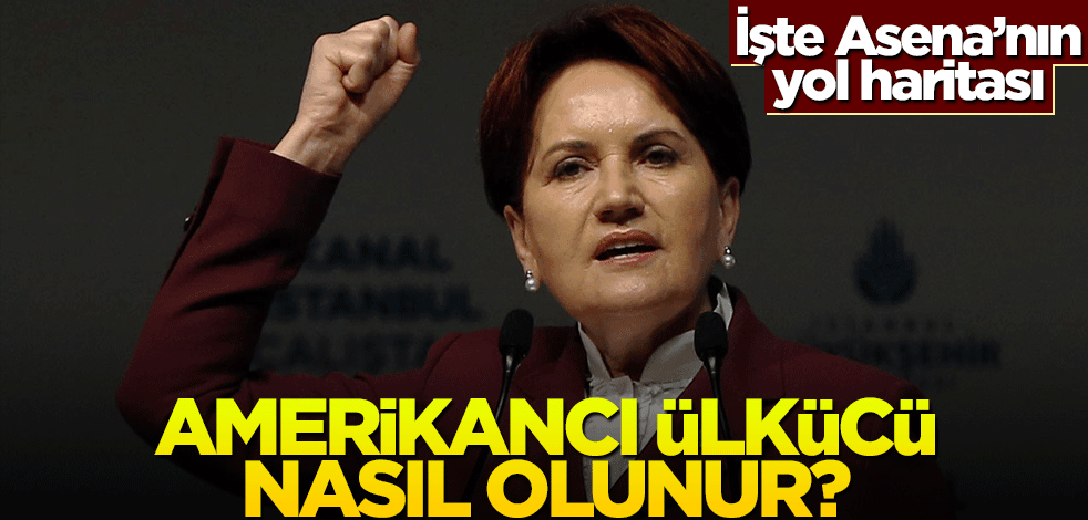 İşte Asena’nın yol haritası! Amerikancı ülkücü nasıl olunur?