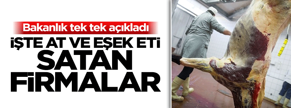 İşte at ve eşek eti satan firmalar