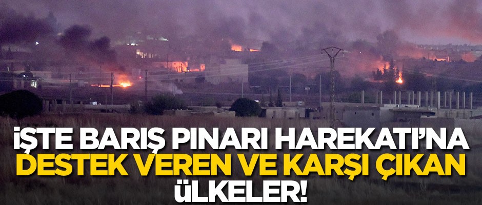 İşte Barış Pınarı Harekatı'na destek veren ve karşı çıkan ülkeler!