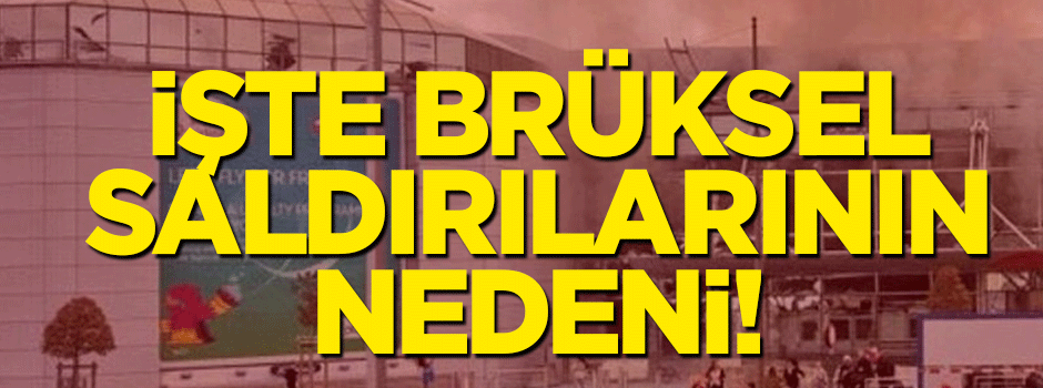 İşte Brüksel saldırılarının nedeni!