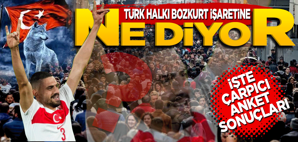 İşte çarpıcı anket sonuçları! Türk Halkı bozkurt işaretine ne diyor?