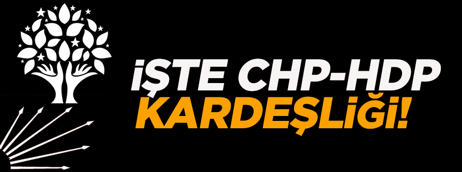 İşte CHP-HDP kardeşliği!