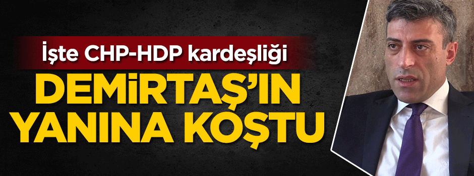 İşte CHP-HDP kardeşliği
