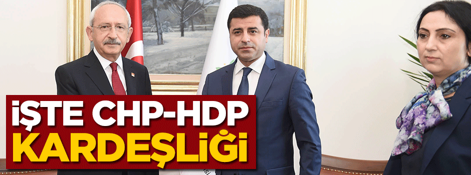 İşte CHP-HDP kardeşliği