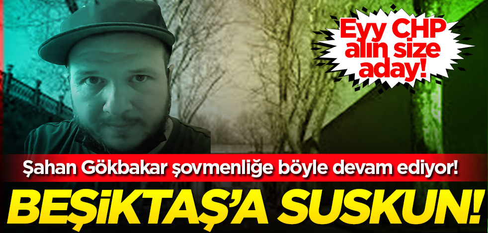 İşte CHP’ye şovmen vekil adayı! Beşiktaş’ta kesilen ağaçlara sesi çıkmıyor ama….