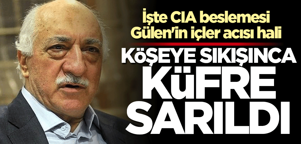 İşte CIA beslemesi Gülen'in içler acısı hali... Köşeye sıkışınca küfüre sarıldı