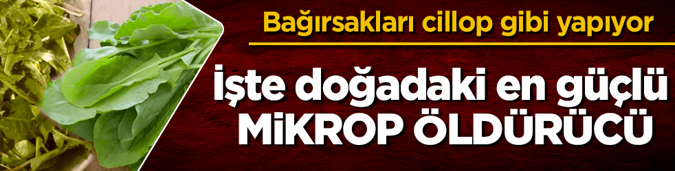 İşte doğadaki en güçlü mikrop öldürücü