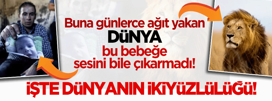 İşte Dünya'nın ikiyüzlülüğü: Cecil'e tepki, yakarak öldürülen Ali'ye sessizlik!