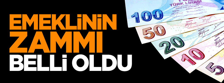 İşte emeklinin Ocak zammı