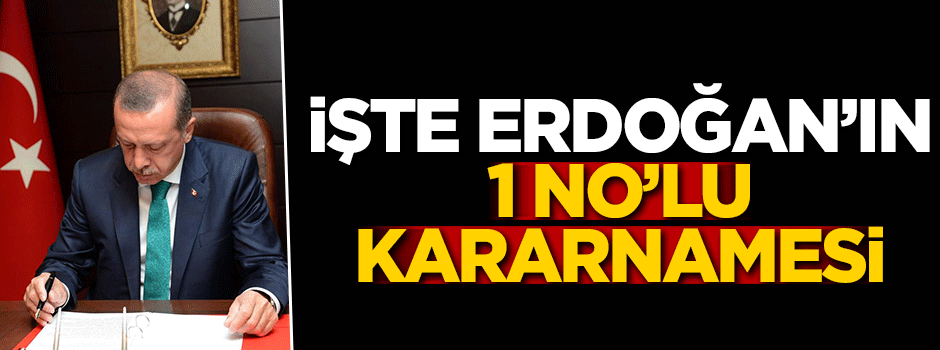 İşte Erdoğan'ın 1 No'lu kararnamesi