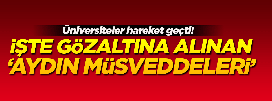 İşte gözaltına alınan 'aydın müsveddeleri'