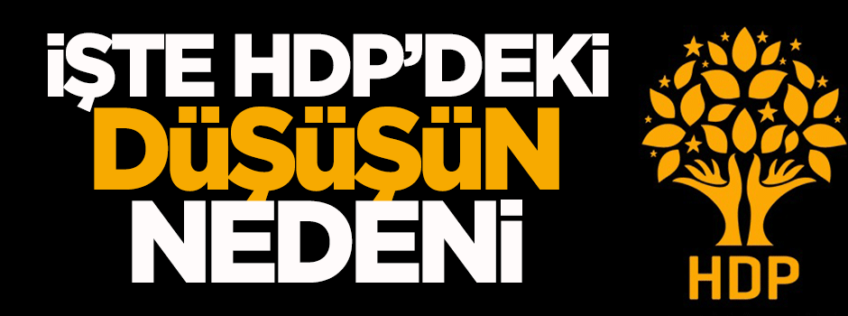 İşte HDP'deki düşüşün nedeni