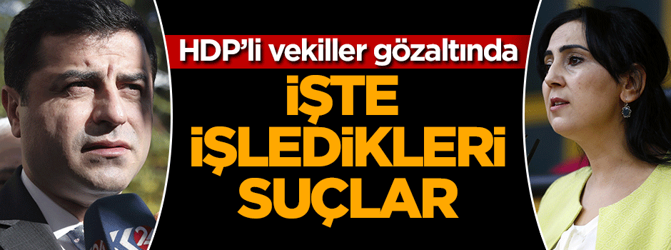 İşte HDP'li vekillerin işledikleri suçlar