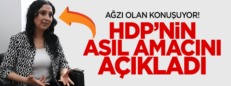İşte HDP'nin asıl amacı!
