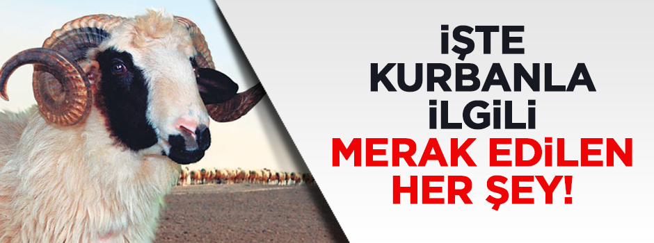 İşte Kurbanla ilgili merak edilen her şey!