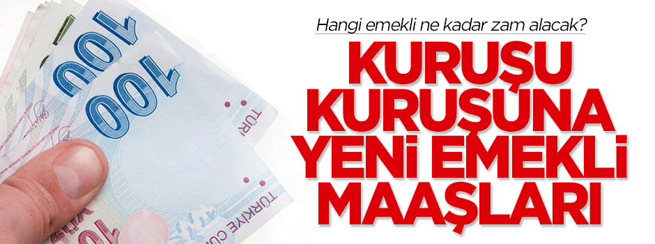 İşte kuruşu kuruşuna yeni emekli maaşları