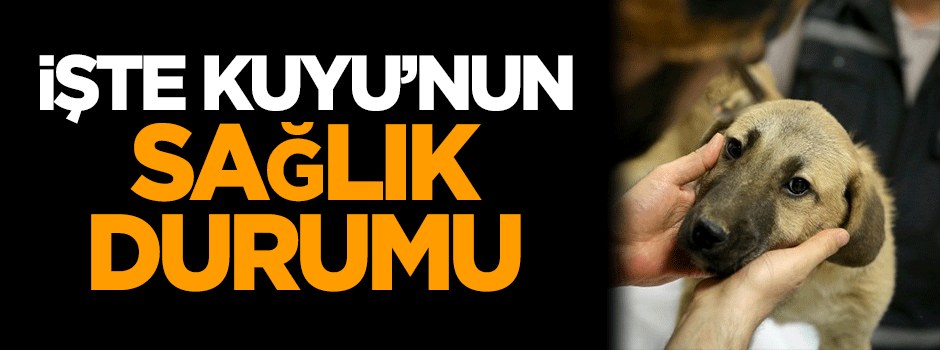 İşte 'Kuyu'nun sağlık durumu