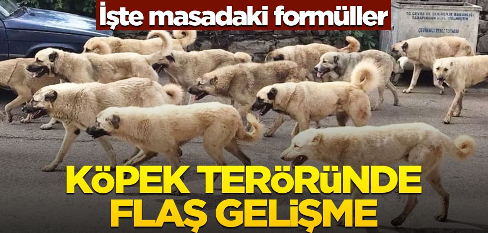 İşte masadaki formüller! Köpek teröründe flaş gelişme