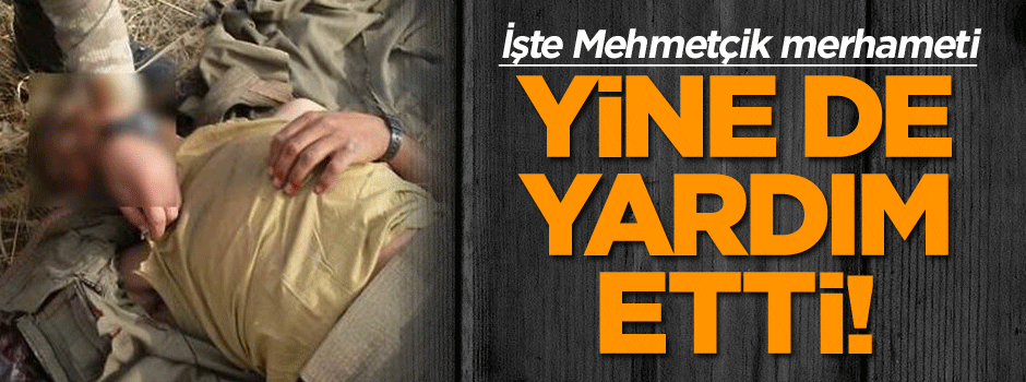 İşte Mehmetçik merhameti... Yine de yardım etti!