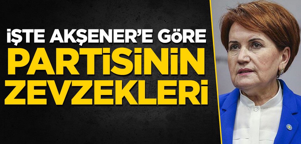 İşte Meral Akşener'e göre İP'in zevzekleri