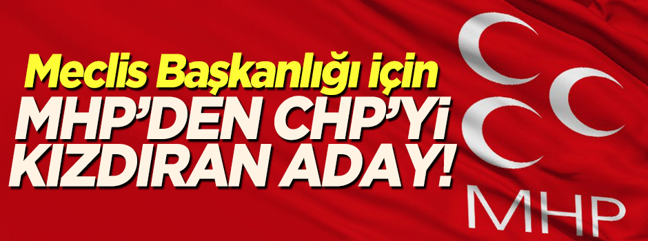 İşte MHP'nin Meclis Başkan adayı!