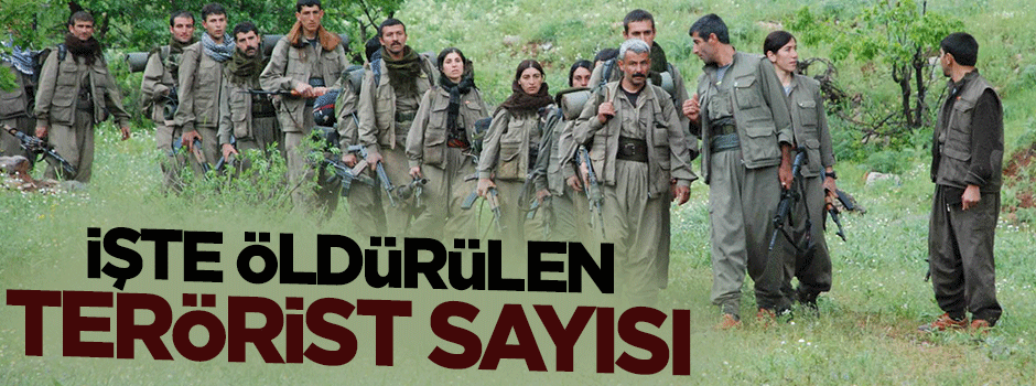 İşte öldürülen PKK'lı sayısı