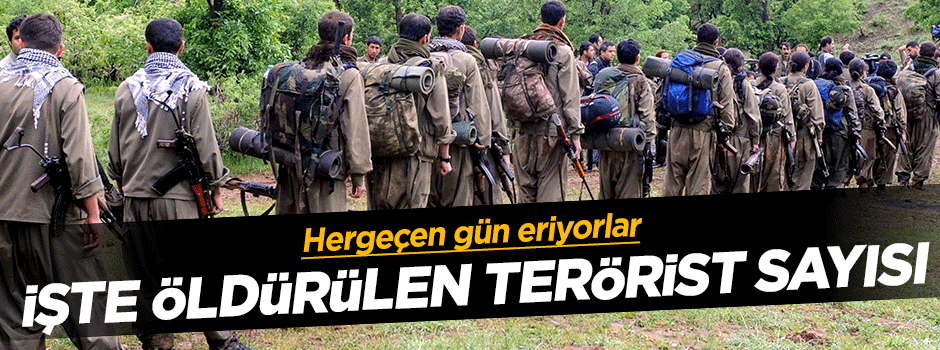 İşte öldürülen terörist sayısı