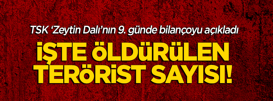 İşte öldürülen terörist sayısı!