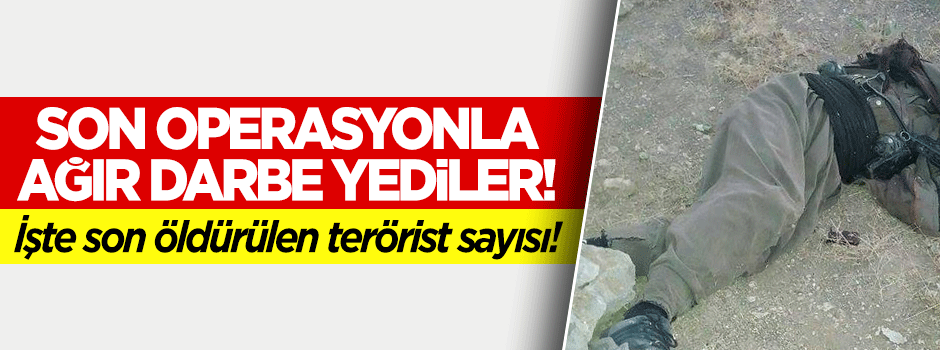 İşte operasyonlarda öldürülen son terörist sayısı!