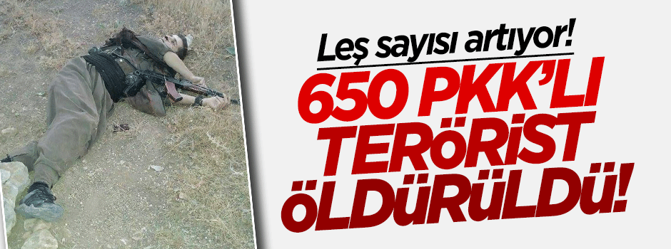 İşte operasyonlarda öldürülen terörist sayısı!