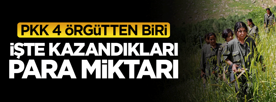 İşte PKK'nın uyuşturucudan kazandığı para