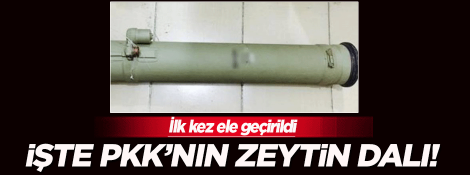 İşte PKK'nın zeytin dalı!