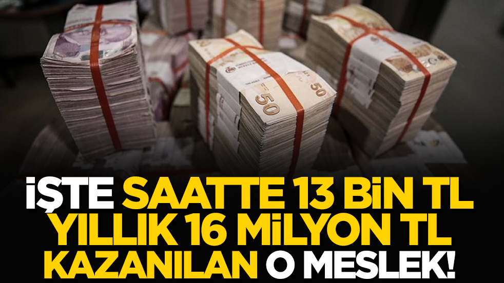 İşte saatte 13 bin, yıllık 16 milyon TL kazanılan o meslek!